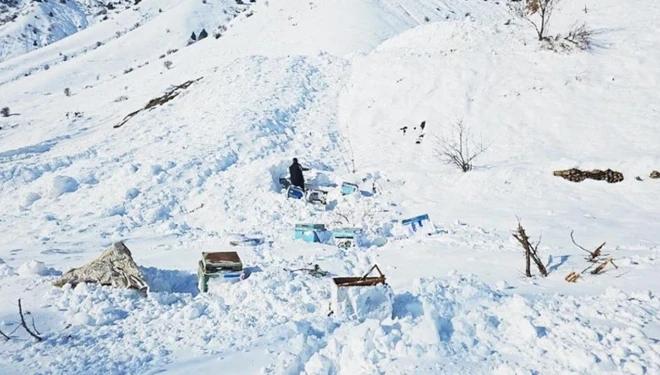 Van-Hakkari yolunda 32 arı kovanı çığ altında kaldı