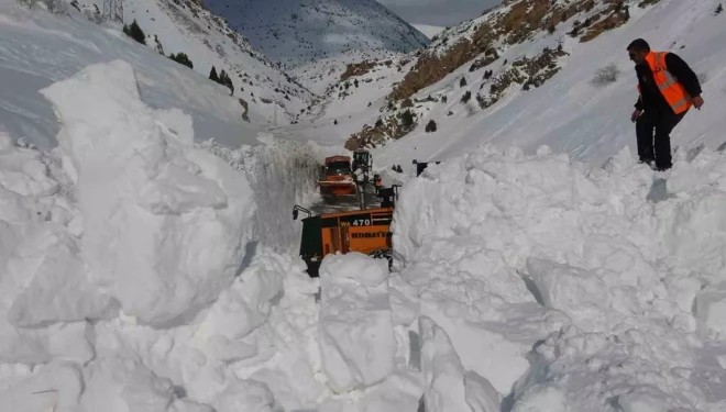 Van-Çatak yolunda geçişler sadece acil ve öncelikli araçlara açık