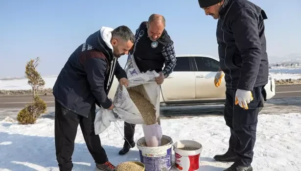 Van Büyükşehir Belediyesi, kuşlar için doğaya yem bıraktı