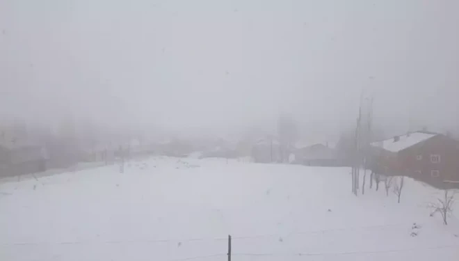 Başkale'de kar kalınlığı 10 santimetreye ulaştı