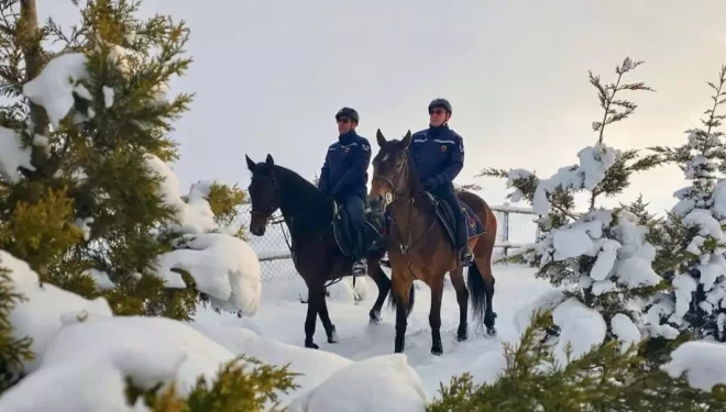 Van’da Atlı Jandarmadan Kaçak Avcılığa Geçit Yok