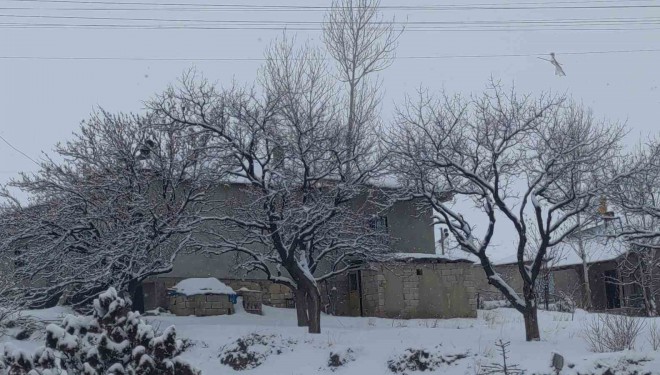 Van’da Sibirya soğukları hayatı olumsuz etkiliyor