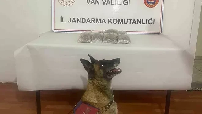 Van’da uyuşturucu madde ele geçirildi