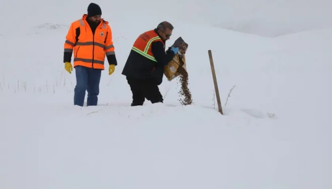 Başkale Belediyesi Yaban Hayatını Unutmadı