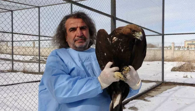 Van YYÜ’de yırtıcı kuşlar şifa bulup doğaya dönüyor