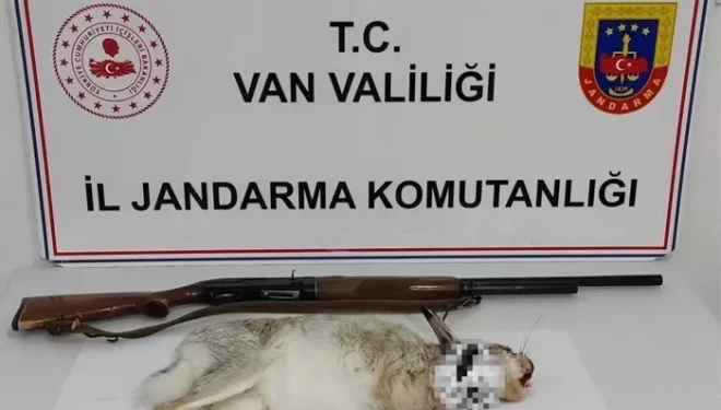 Van’da kaçak avcılığa 29 bin 746 lira ceza