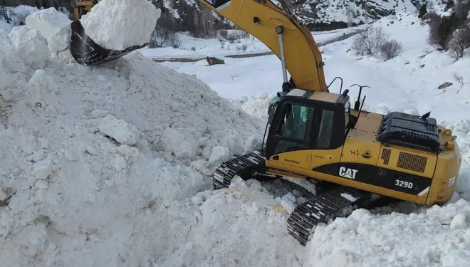 Van'da çığın kapattığı mezra yolunda zorlu mücadele