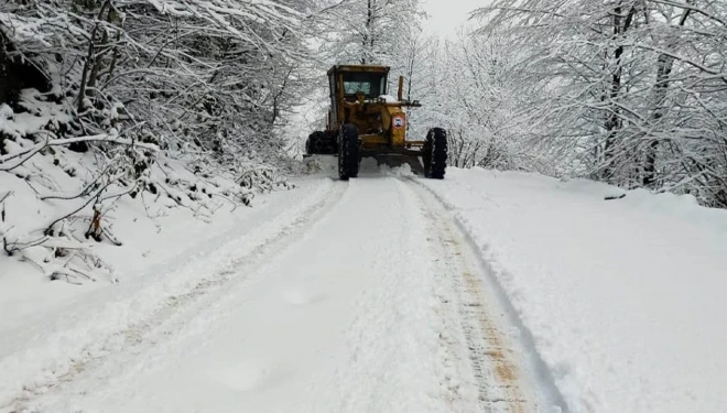 Van’da kar nedeniyle 143 yerleşim yerinin yolu kapandı
