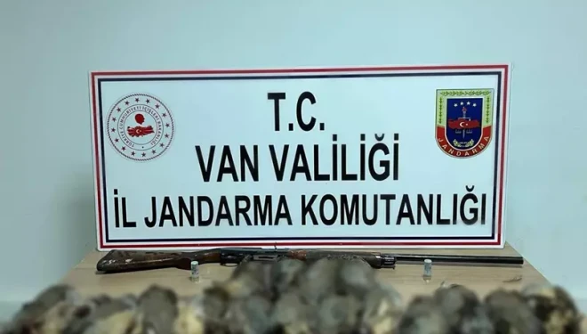 Van’da keklik avına 87 bin TL idari para cezası