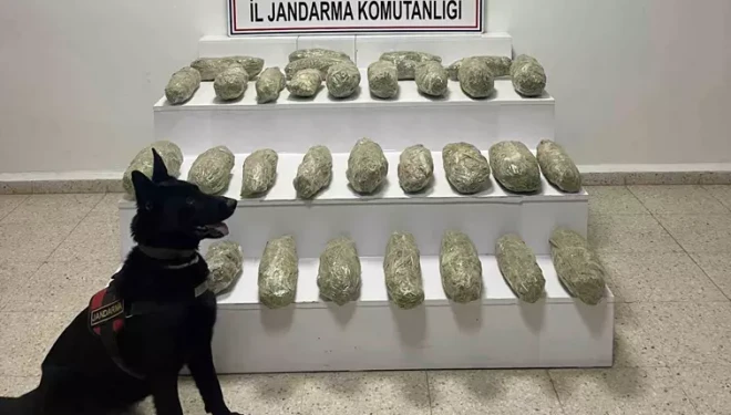 Başkale’de 21 kilo 350 gram skunk ele geçirildi