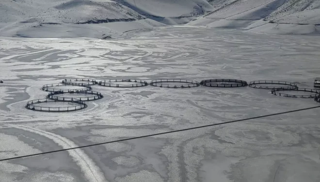 Van’da Sibirya soğukları: Dev barajlar buz tuttu