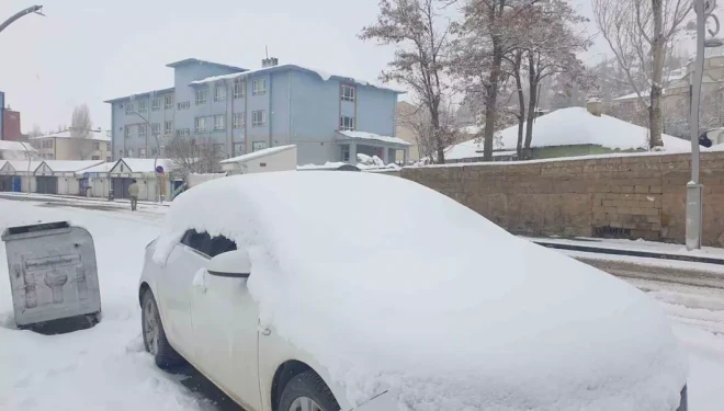 Başkale’de etkili kar yağışı