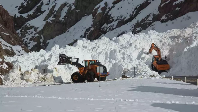 Van-Hakkari kara yolunda çığ sonrası çalışmalar sürüyor