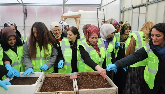 Tuşba’da Kadınlara Yönelik Tarımsal Üretim Çalışması 