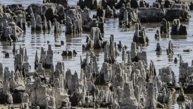 Van Gölü alarm veriyor: Su kaynakları tükeniyor