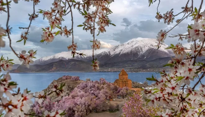 Van'da 4.Badem Çiçeği Festivali başlıyor