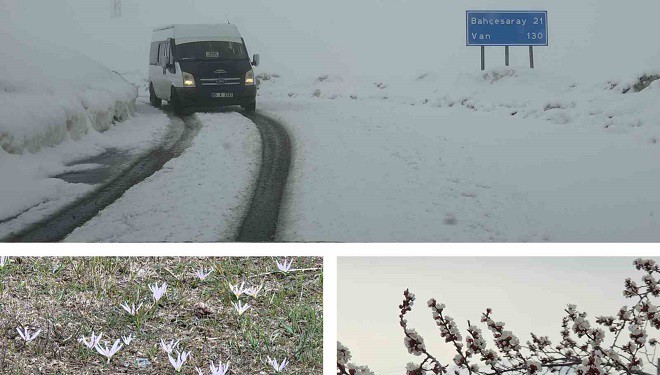Van’da iki mevsim bir arada: Bir yanda bahar, diğer yanda kış