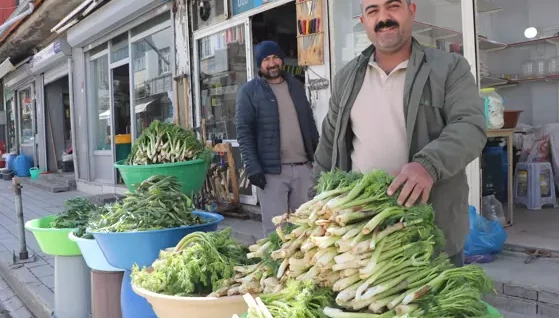 Dağlarda yetişen pancarın ilk mahsulü, satışa sunuldu