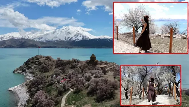 Badem ağaçlarının çiçekleriyle güzelleşen Akdamar Adası'nda turist yoğunluğu