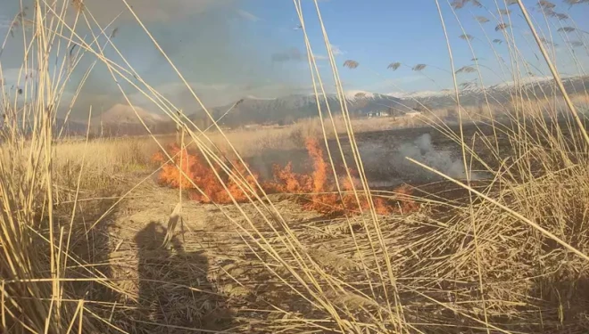 Van’ın Muradiye ilçesinde sazlık yangını