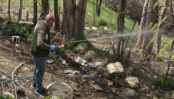 Edremit’te halk sağlığı için kapsamlı ilaçlama seferberliği