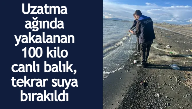 Uzatma ağında yakalanan 100 kilo canlı balık, tekrar suya bırakıldı