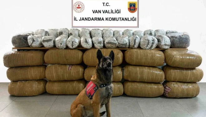 Van’da yarım tona yakın uyuşturucu ele geçirildi