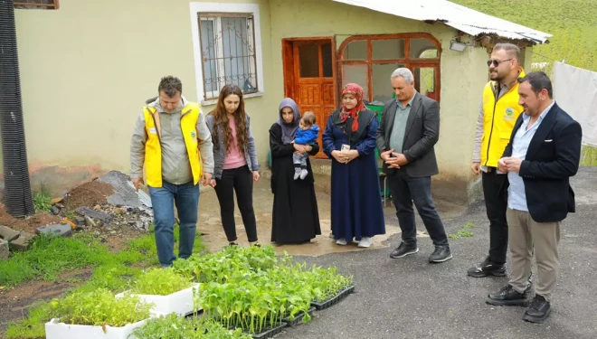 İpekyolu Belediyesi Erçek’te 80 Bin Sebze Fidesi Dağıttı