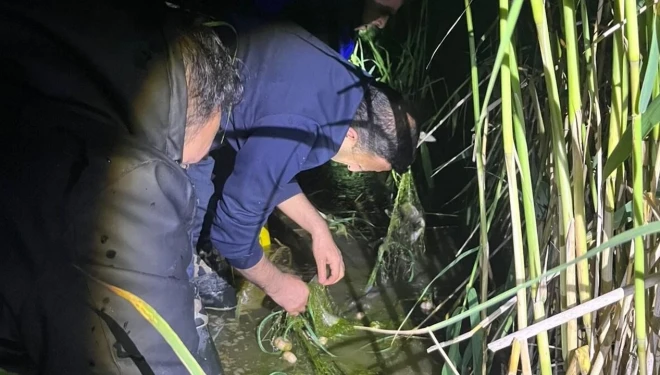Van'da kaçak avlanan 100 kilo inci kefali, yeniden suya bırakıldı
