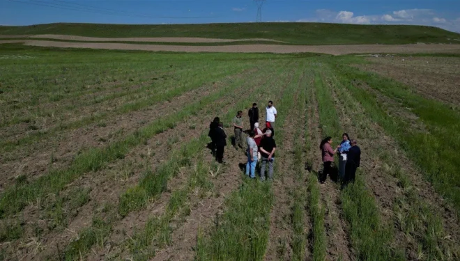 Tuşba Belediyesi’nden Çiftçilere Fidan, Sebze Fidesi ve Toprak Analizi Desteği