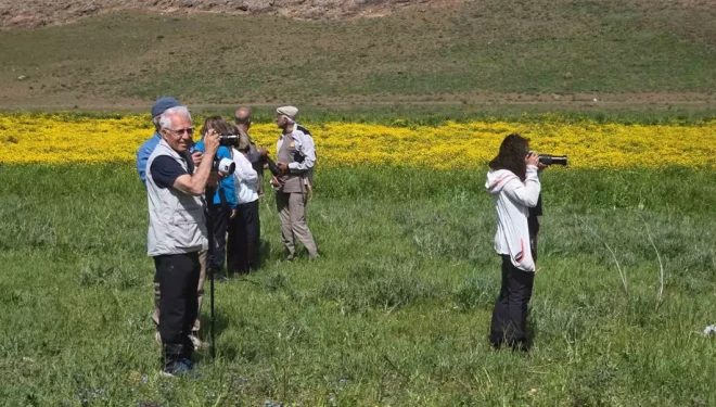 Dostlar Fotoğraf Grubu Van’ın sulak alanlarını fotoğrafladı