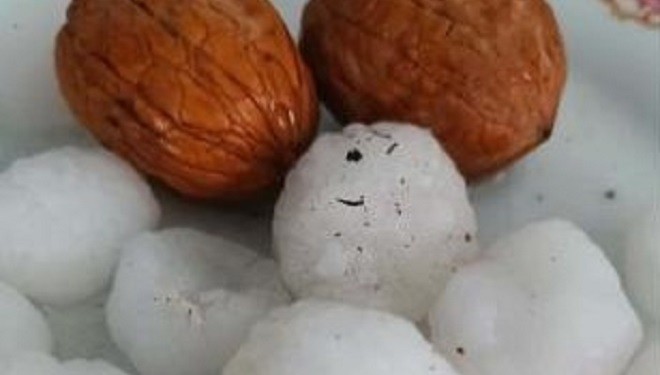 Van’da ceviz büyüklüğünde