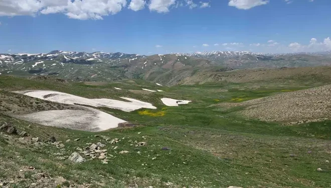 Van’ın yaylaları, çiçekleri ve karlı zirveleriyle mest ediyor