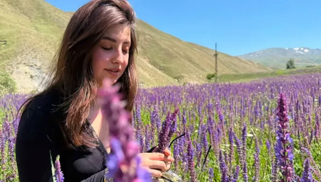 Başkale'de lavanta tarlası ilgi odağı oldu
