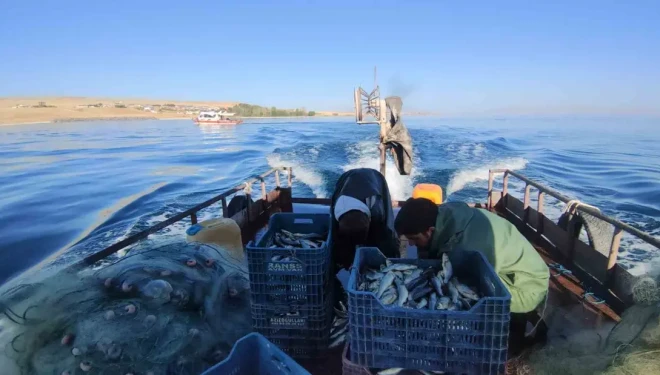 Van’da 90 günlük İnci Kefali av yasağı sona erdi