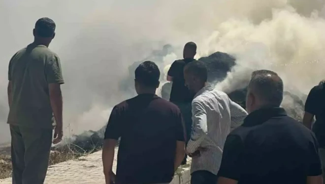 Van’da ot yangını