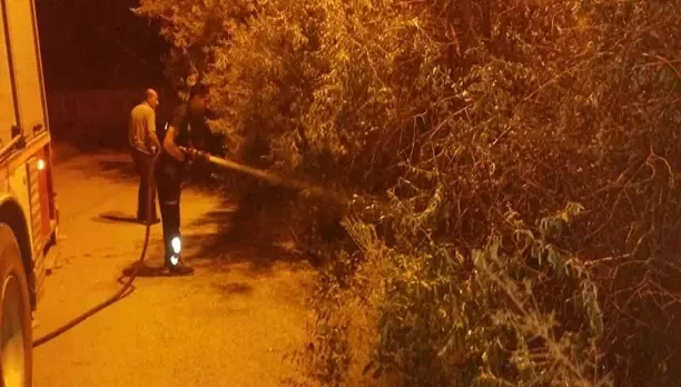 Van’da bahçe yangını korkuttu