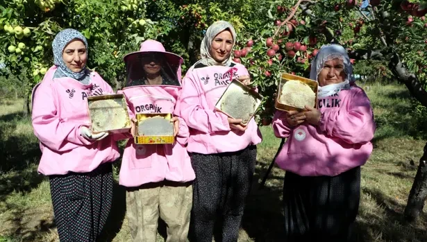 'Pembe maskeli’ kadın arıcılar hasada başladı
