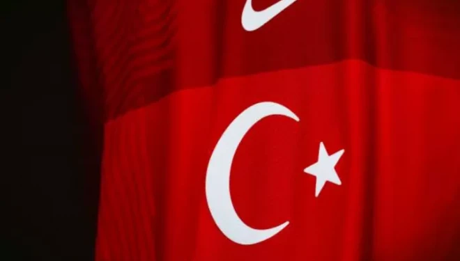 A Milli Takım'ın başına kim geçecek?