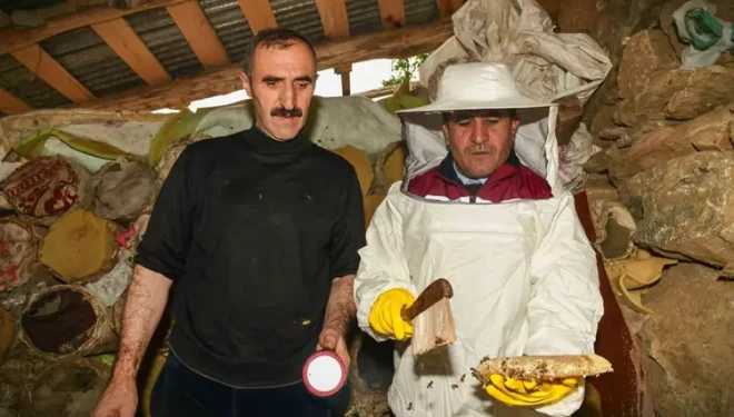Çatak’ta karakovan balının hasadı yapıldı