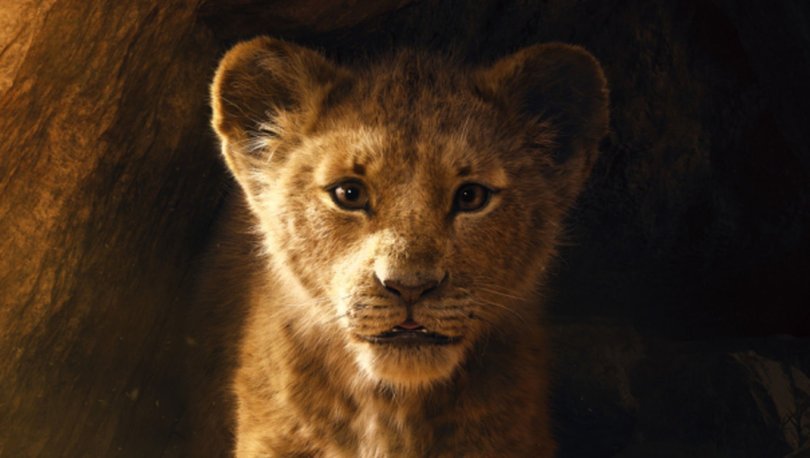 Aslan Kral (The Lion King)