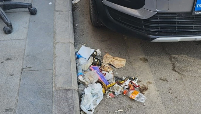Van’ın merkezinde utandıran manzara!