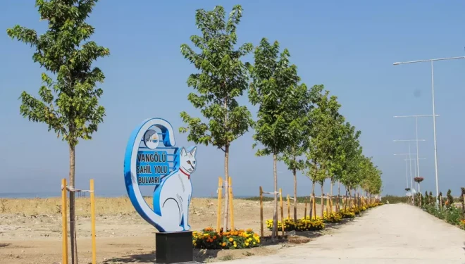 Sahil yolunda geniş kapsamlı peyzaj çalışması yürütüyor