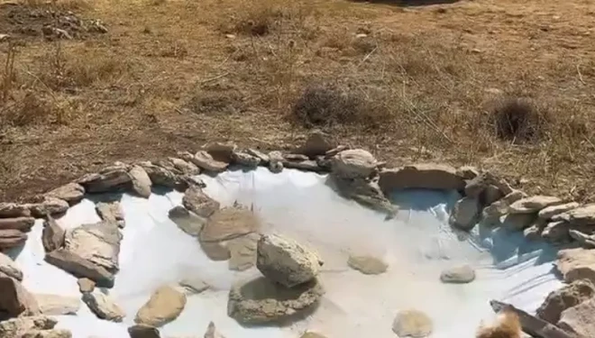 Van jandarmasından yaban hayatına minik su havuzları