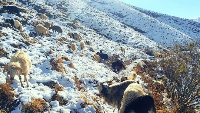Besicilerin kar altında zorlu mesaisi başladı
