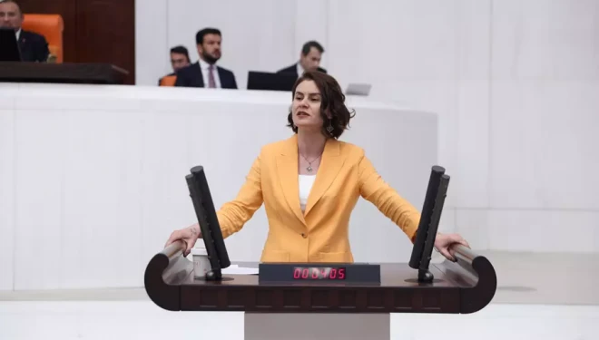 Gülcan Kaçmaz Sayyiğit, Ferit Melen Havalimanı'ndaki sıkıntıları meclise taşıdı