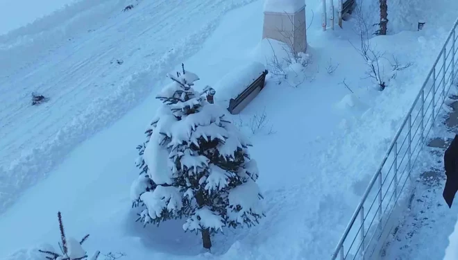 Erciş’te kar yağışı