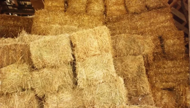 Van’da saman pazarı esnafı artan maliyetlerden dolayı dertli