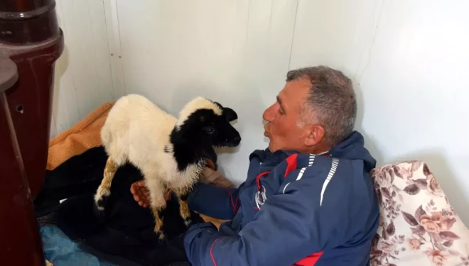 Annesi ölen 20 günlük kuzuyu evinde biberonla besliyor