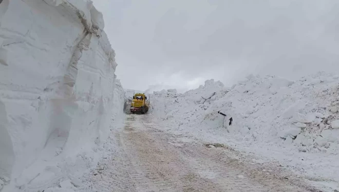 Türkiye-İran sınır hattında karla mücadele çalışması